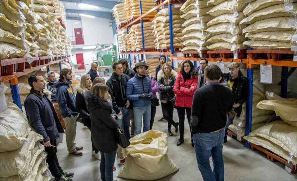 L'usine de Rivesaltes innove avec des bouchons en liège 100 % naturels et  biodégradables - Le Parisien